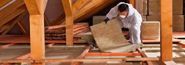 Best Blown-In Insulation  in Meadowbrook, VA